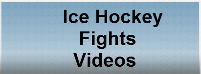hockey fights